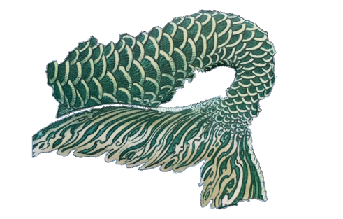 Mermaid fin