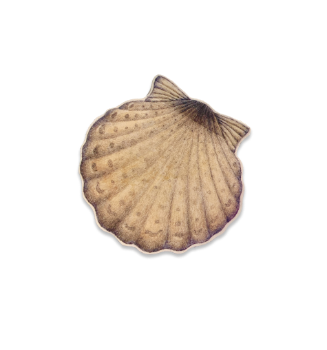 Clam shell